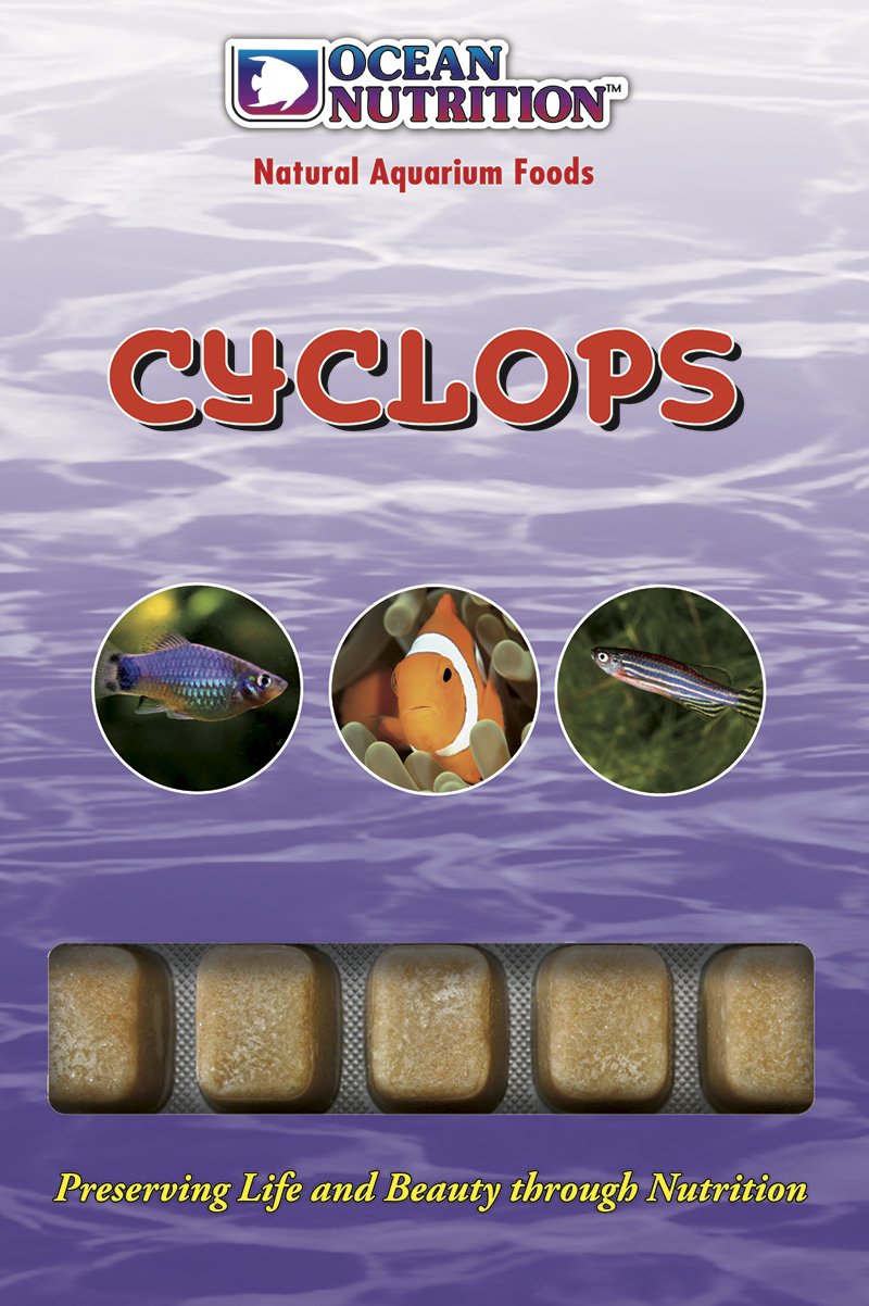 CYCLOPS 100 GR (6 UNI)