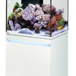 EHEIM incpiria reef