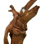 Mundi Aquarium Woods Columna