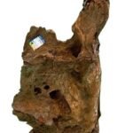 Mundi Aquarium Woods Soporte Arizona